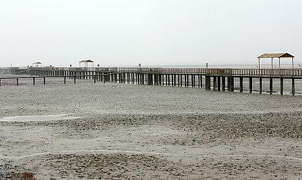 《蔷薇与椿：豪华绚烂版》预购开启 10月2日登陆Switch